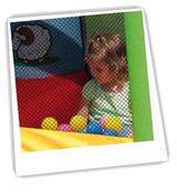 Gioco Gonfiabile Fattoria - Art.9112 - Mis: 325 X 300 Cm Motore Incluso Offerta Giochi Gonfiabili In Vendita Su Timesport24