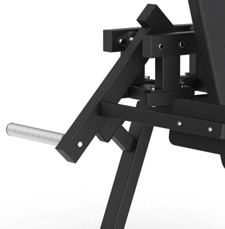 Lateral Raise FWX 6500 Linea Toorx Professional Line cod. FWX-6500