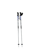 Bastoncini sci Fischer grigio/nero/blu