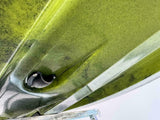 Kayak fishing a Pedali divisibile Big Mama Triken 330 Live S, con ruote e vasca del vivo - SCAFO GRIGIO NERO, gavone VERDE