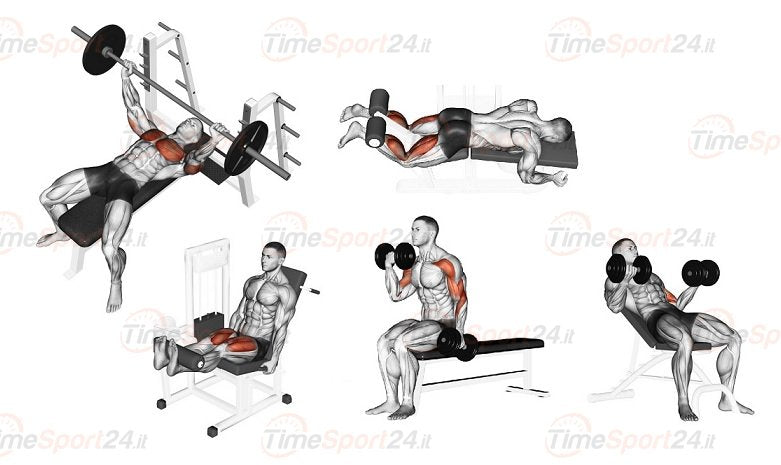 Panca Regolabile Con Porta Bilanciere Professionale Jk 6070 Jk Fitness Cod.jk6070 Esercizi; Preacher Curl, Curl, Leg Extension, Bench Press, Leg Curl, Butterfly, Addominali