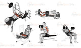 Panca Regolabile Con Porta Bilanciere Professionale Jk 6070 Jk Fitness Cod.jk6070 Esercizi; Preacher Curl, Curl, Leg Extension, Bench Press, Leg Curl, Butterfly, Addominali