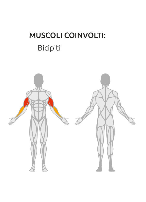 Seated Biceps Curl Plate Loaded Linea Linea Diamond cod. PL-CURL