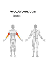 Seated Biceps Curl Plate Loaded Linea Linea Diamond cod. PL-CURL