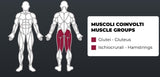Toorx Pin Loaded Multi Hip PLX-4700 Linea Toorx Professional Line cod. PLX-4700