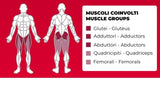 Abductor/ Adductor PLX-9700 Linea Toorx Professional Line cod. PLX-9700