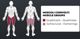 Pressa Gambe Inclinata WBX 4000 LINEA TOORX STRENGTH PROFESSIONALE Colore Silver