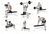 Panca Piana Regolabile Jk6048 Jk Fitness Esercizi: French Press. Croci, Distensioni, Rematore, Spinte