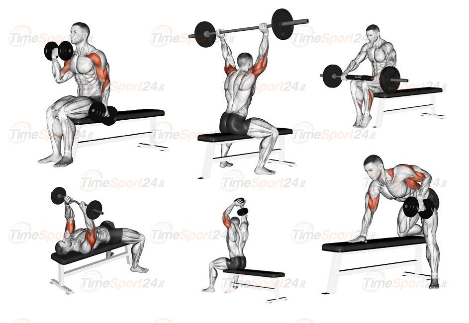 Panca Piana Regolabile Jk6045 Jk Fitness Esercizi; French Press, Croci, Distensioni, Rematore, Spinte, Calf