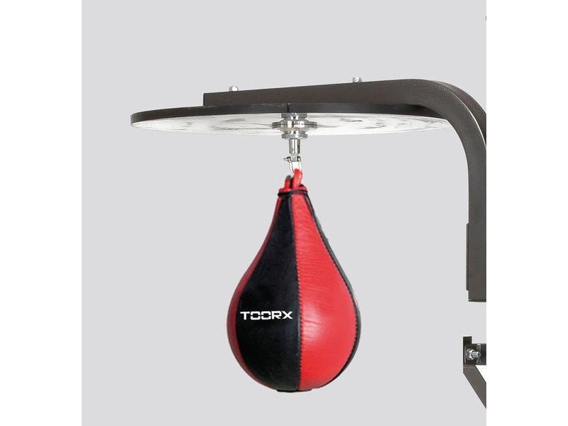 Supporto a Muro con Disco per Palla Veloce + Gancio con Cuscinetto a Sfere Linea Toorx