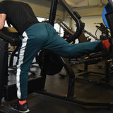 Gluteus Machine FWX 4600 Linea Toorx Professional Line cod. FWX-4600
