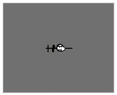 Gioco a Molla/Springer CAVALLUCCIO MARINO 1059 - GIOCHIPARK cod. 1059 A/B - TIMESPORT24