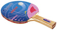 Racchetta Tennis Tavolo- Ping Pong Garlando Arrow 2 Stelle cd.2C4-114 - TIMESPORT24